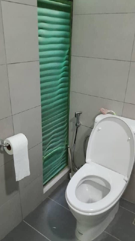 Double Storey Terrace House Bandar Seri Alam 9