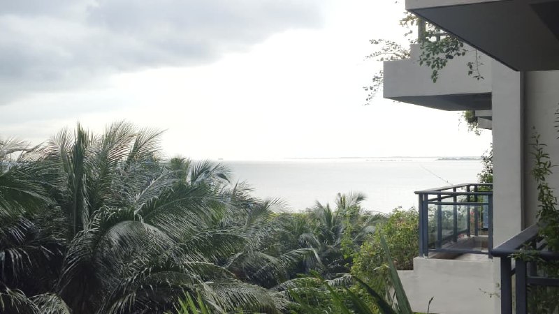 Ataraxia Park Forest City 5