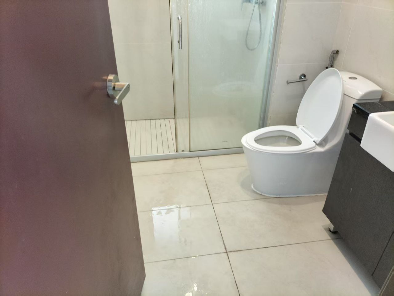 Condo Bay Laurel @ Country Garden Danga Bay 8