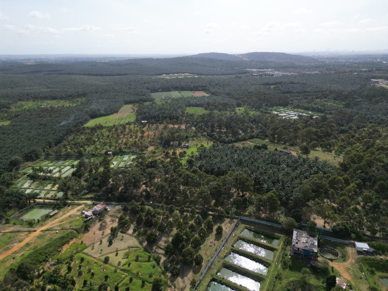 Agricultural Land Kangkar Pulai